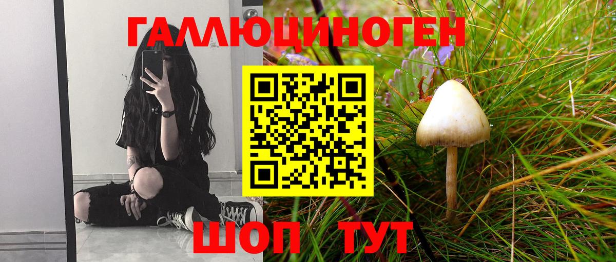 где можно купить   Вход с VPN  Верхний Уфалей  Галлюциногенные грибы Magic Shrooms 